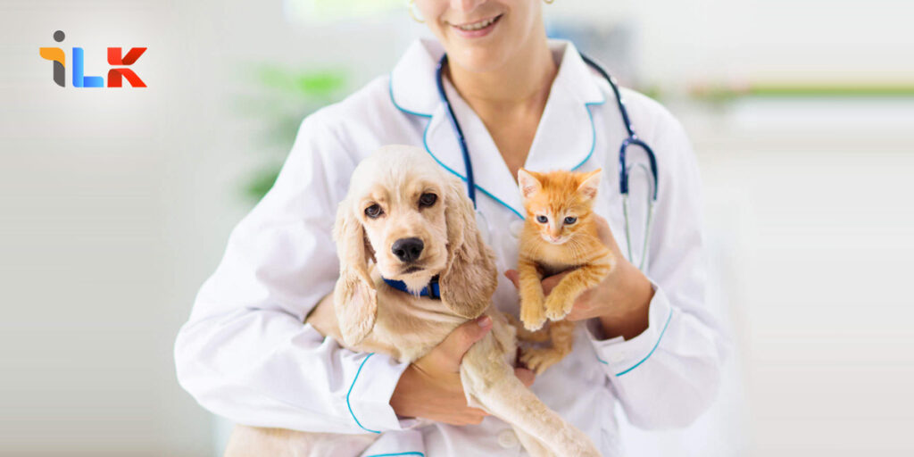 Types of Pet Insurance Plans