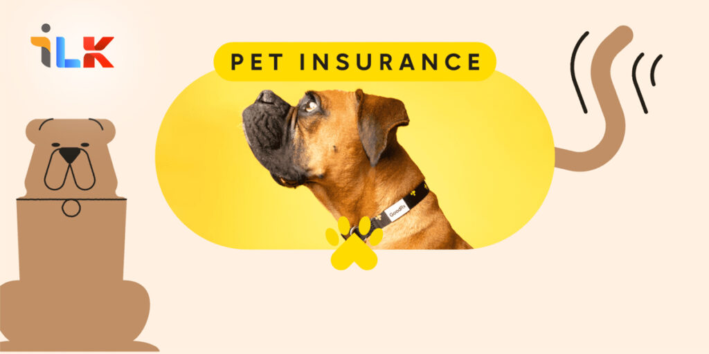 Understanding Pet Insurance in India